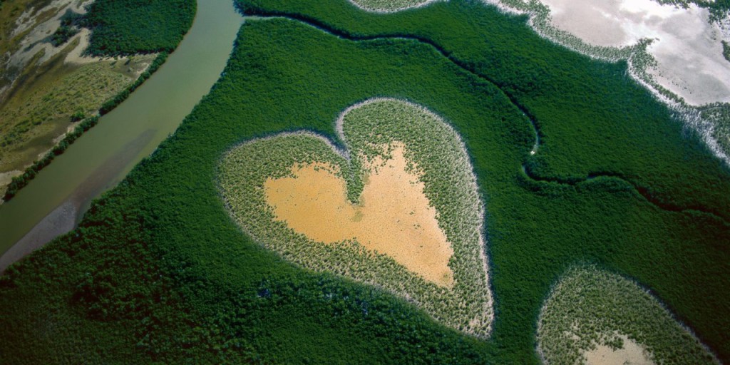 Cœur de Voh en 1990, Nouvelle-Calédonie, France (20°56’ S – 164°39’ E). Heart in Voh, New Caledonia (French Overseas Territory) (20°56' S – 164°39' E).