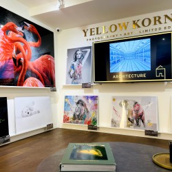 創新的攝影藝術平台概念  法國攝影藝廊YellowKorner正式登台