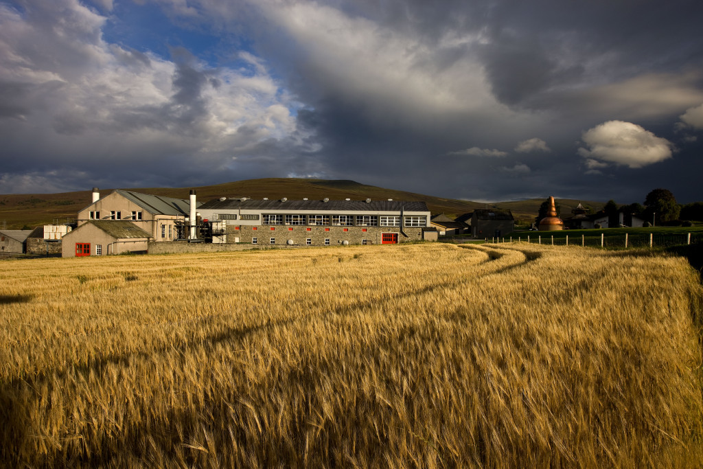 Glenfarclas_0042 from barley field